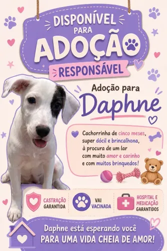 doação de cadela filhote
