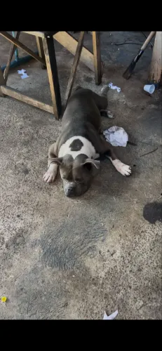 Procura-se uma namorada 