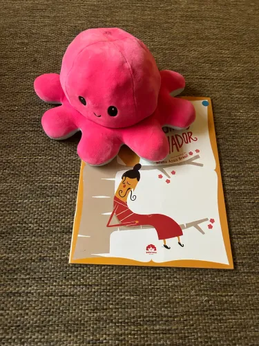 Livro Os sonhos do lenhador + BRINDE
