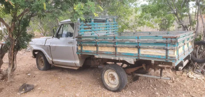 Chevrolet D-10 Diesel 1979