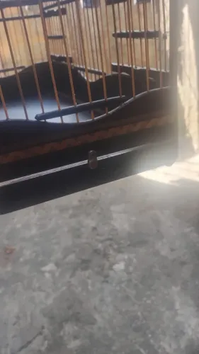 Vendo gaiola para pássaro