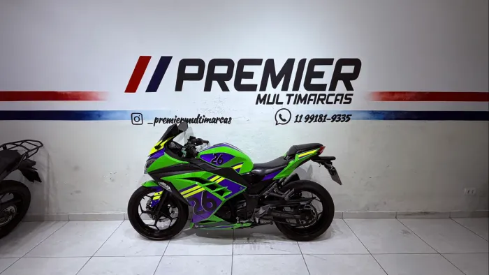 Kawasaki Ninja 300