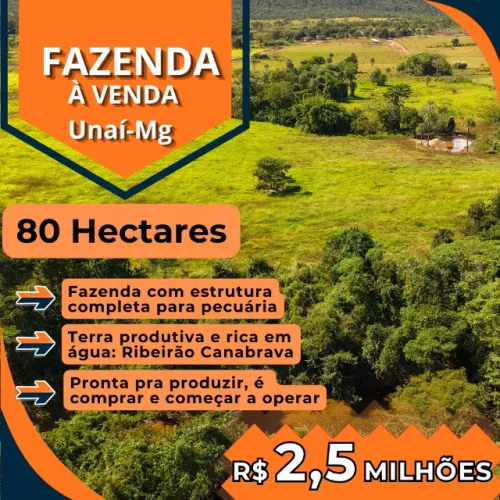 Fazenda à venda em Unaí-MG