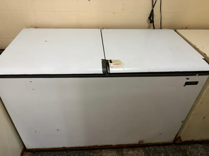 Freezer Horizontal - uso comercial