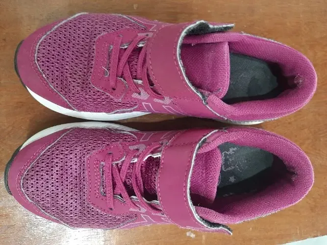 Tenis