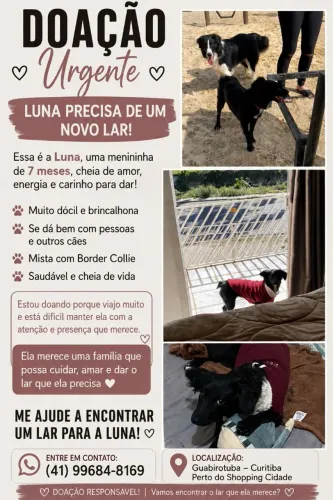 Doação de cachorrinha urgente