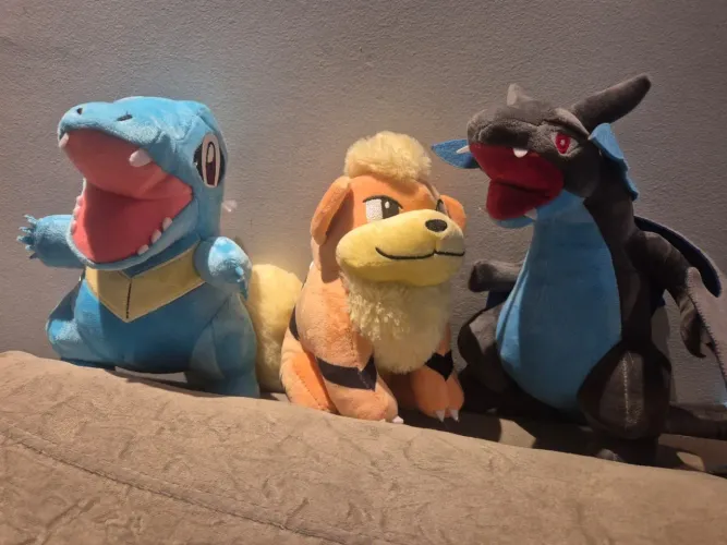 Lote pelúcias Pokemon Totodile Growlithe Mega Charizard X