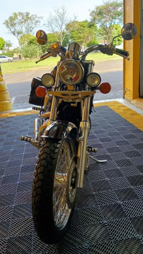Shadow 600