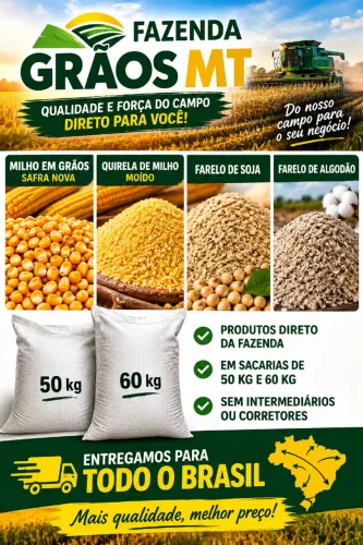 Milho de Qualidade Direto da Fazenda 