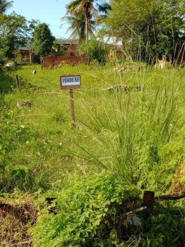 Terreno grande