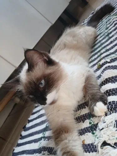 Doaçao