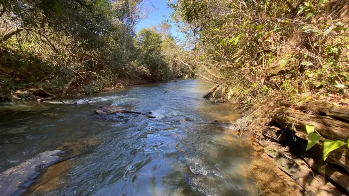 Chácara de 20mil mt. Com rio passa 4 cercadas e com energia!
