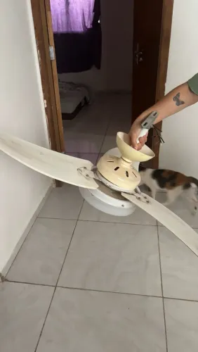 Ventilador de teto
