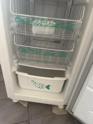 Freezer Fost Free Cônsul