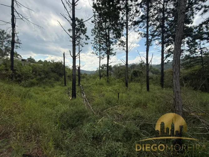 Terreno à venda em Terra Preta  Vista para a natureza