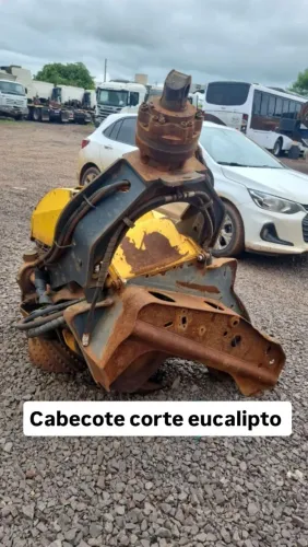 Cabecote madeira eucalipto escavadeira