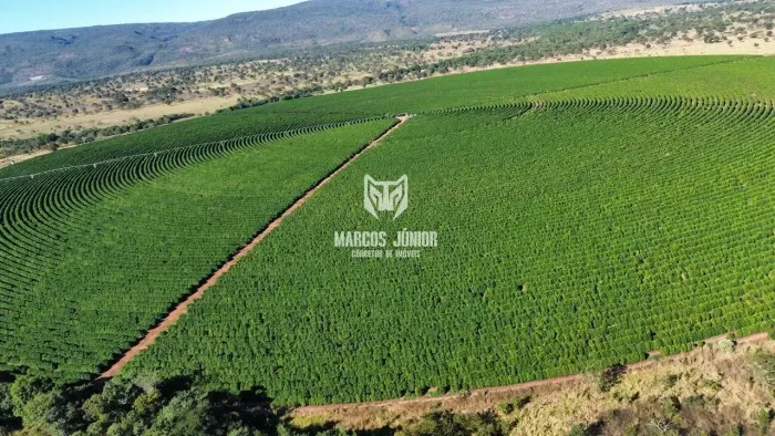 VENDO FAZENDA DE CAFÉ NA REGIÃO CENTRAL DE MINAS GERAIS COM PIVÔ E RIO PARA GRANDE PRODUÇÃ