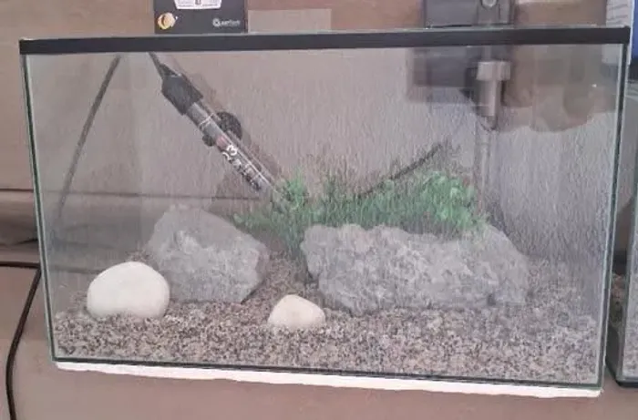Aquario de 24 litros 