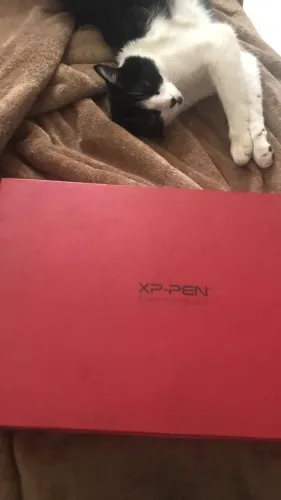 Mesa Digitalizadora XP-PEN Deco 03