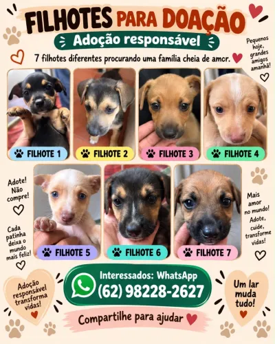Filhotes de cachorro