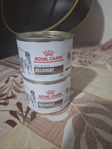 Suplemento alimentar para cães e gatos