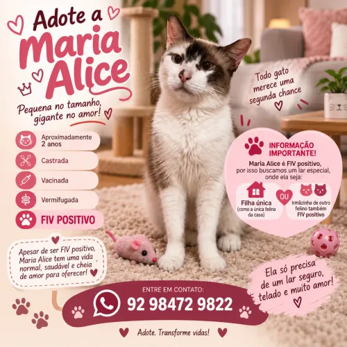 Adote uma gatinha 
