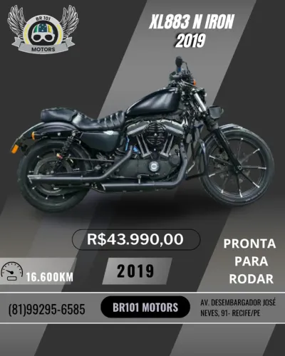 XL883N IRON 2019