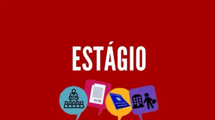Estágio Remunerado Estudante Feminino Jovem Aprendiz Auxiliar Moradora de Niterói