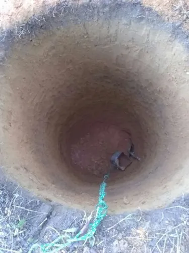 Furo fóssa e poço caipira