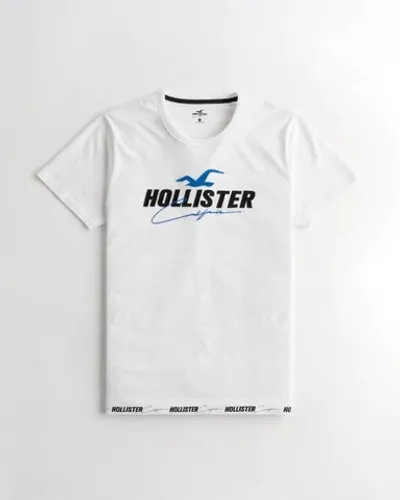 Camisas Importadas Hollister originais novas