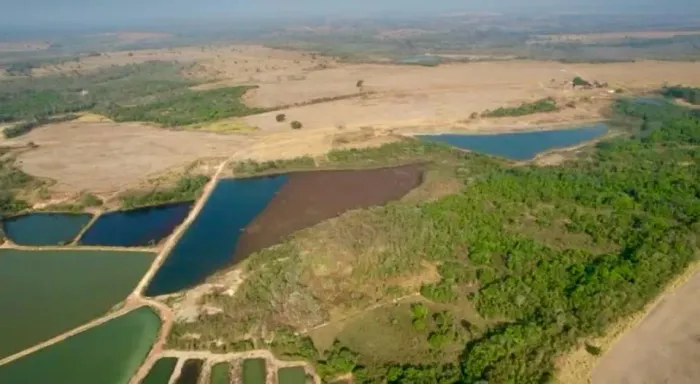 fazenda 430 hac plantando soja Livramento Mt