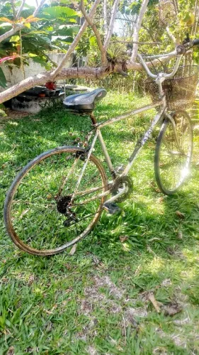 Bicicleta caloi 10