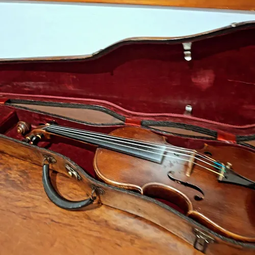 Violino Rigat Rubus