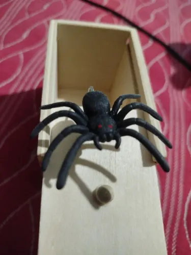 Brinquedo ,Aranha Surpresa na Caixinha!