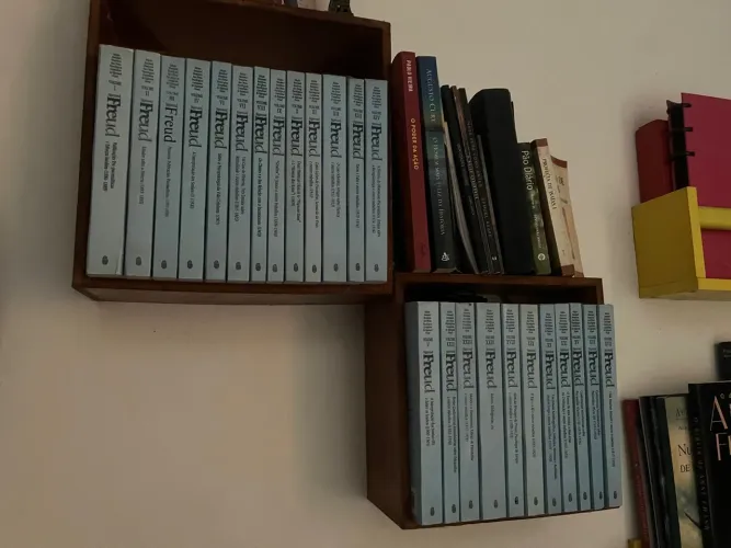 Coleção Freud - Livros de Psicanálise