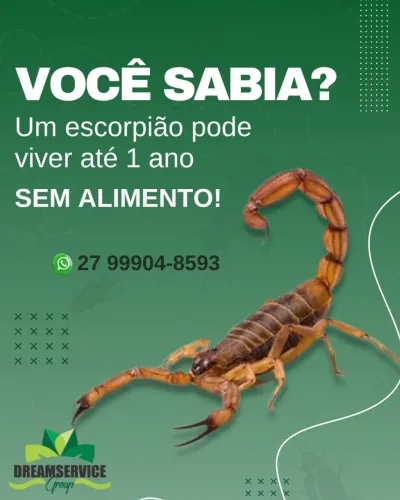 dedetizacao, controle de pragas, baratas e ratos