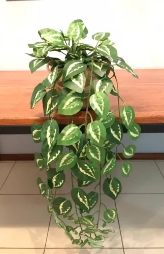 Plantas Decorativas Artificiais com Vasos Estilosos Prontas pra Decorar