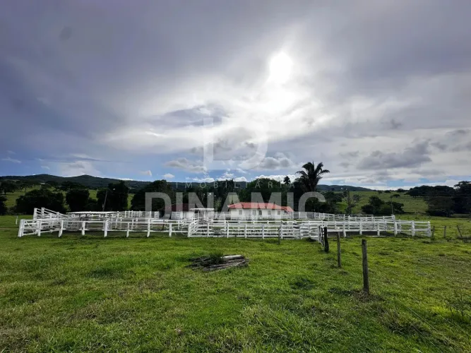 Fazenda à venda, com 4 córregos Município de Cromínia, CROMINIA - GO