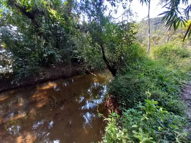 Área para Compensação Ambiental - Mata Atlântica (Sete Barras/SP)