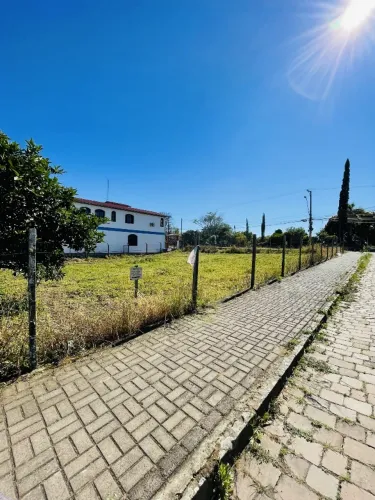 CAXIAS DO SUL - Terreno Padrão - DESVIO RIZZO