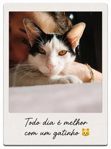 Fotos Polaroide com Imã