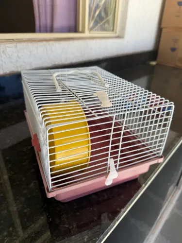 Casa de Hamster Pequena