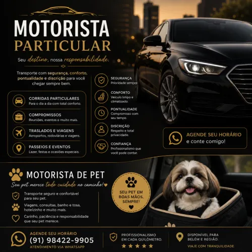 Motorista particular 