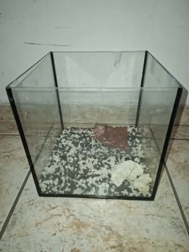 aquario