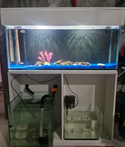Aquário de 100 litros 