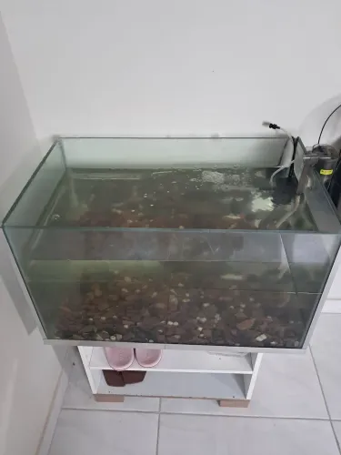 Aquario