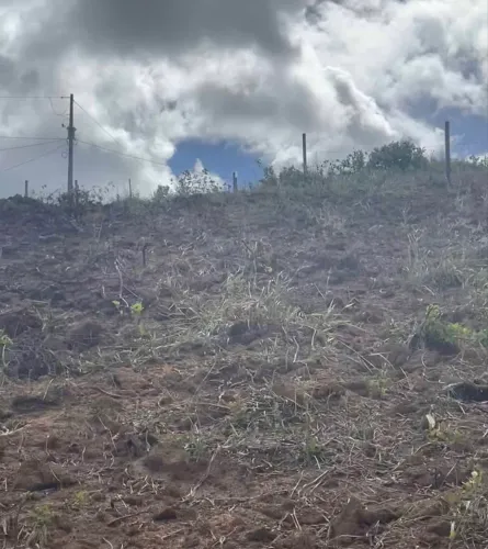 Terreno 1700m2