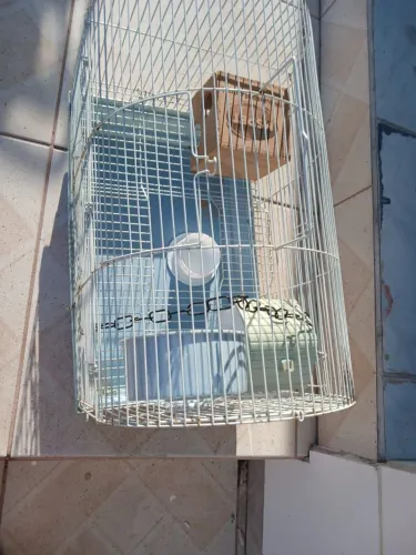 Gaiola de pet