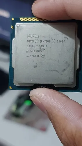 Professor Intel Pentium G2020