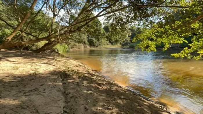 FAZENDA COM 4 ALQUEIROS - OPORTUNIDADE - ÁREA COM ELEVADO POTENCIAL EM PIRENÓPOLIS